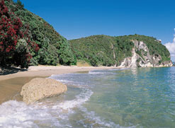 Coromandel