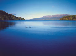 Rotorua