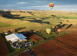 Hawke's Bay