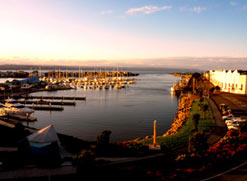 Hawke's Bay