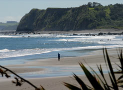 Taranaki