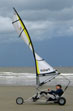 Tauranga Family Fun