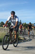 Tauranga Cycle Tours